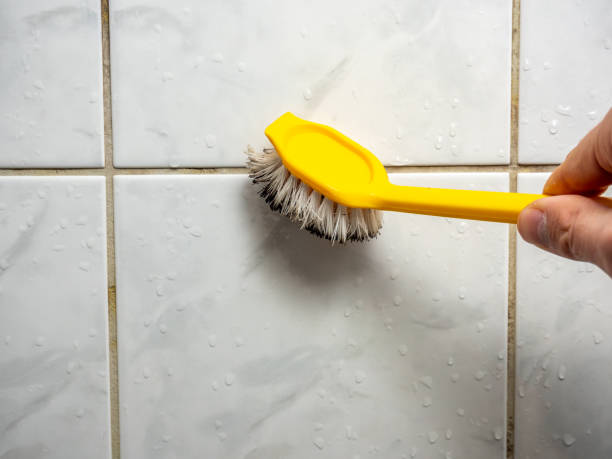 Best Basement Mold Remediation in Cashmere, WA